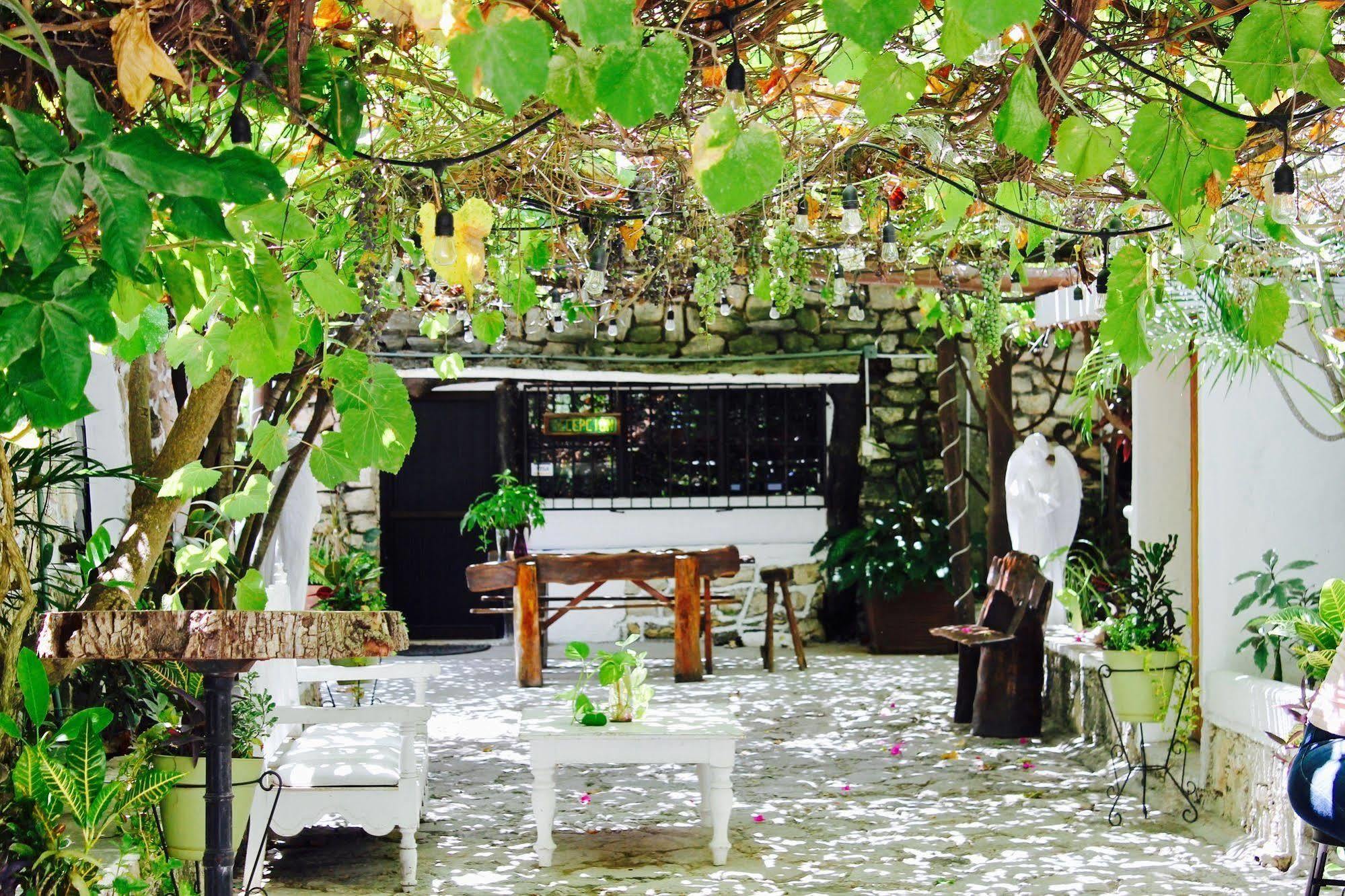 Posada Amor Hotel Boutique Puerto Morelos Luaran gambar